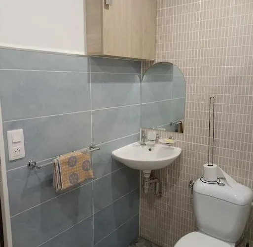 Apartamento Fonctionnel-terrasse Partagee, Jardin-le Pratique Metz